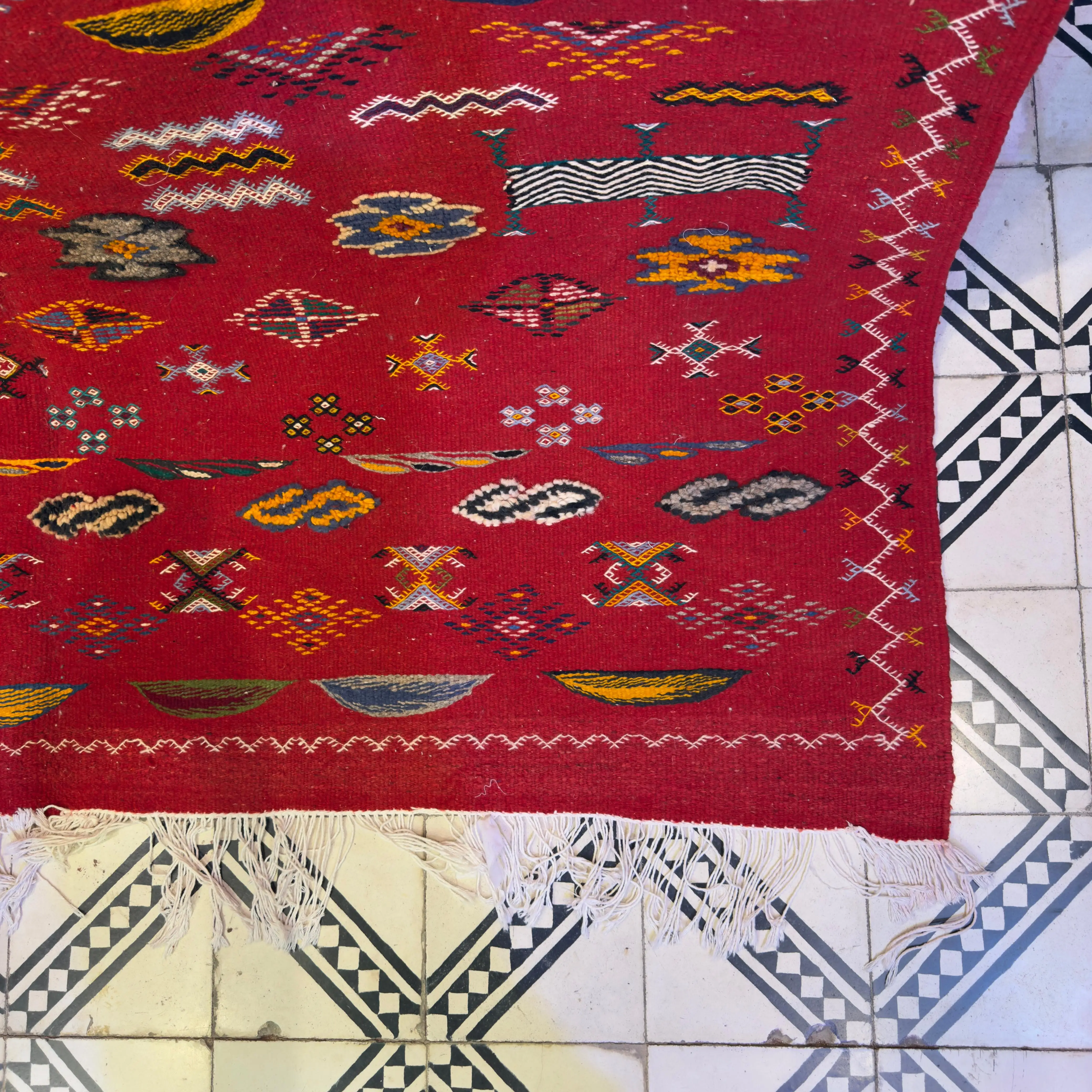 3-Technique Moroccan Rug | Handwoven Berber Carpet | Authentic Embroidered Moroccan Rug